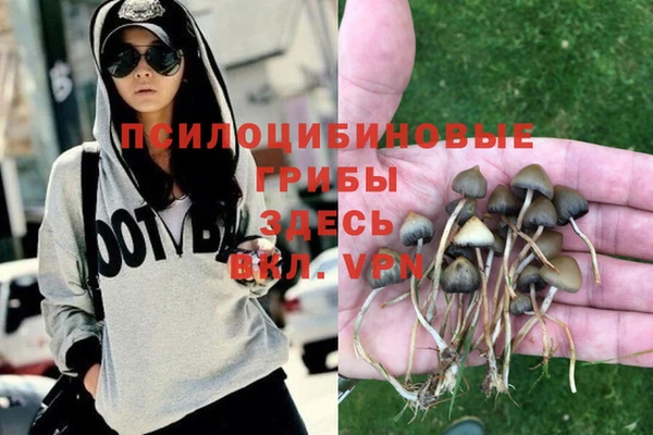 мескалин Каменка