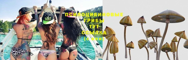 кокаин премиум Каменск-Шахтинский