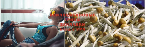мескалин Каменка