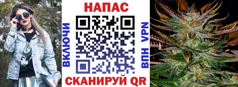 Купить где  Называевск  Каннабис индика 